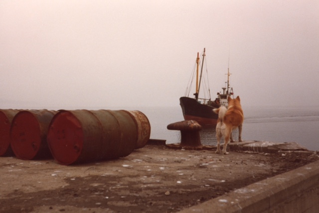"Bygdin" og Bassen, Husbergøya, september 1981